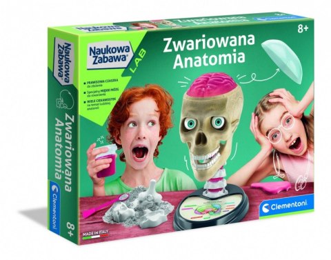 Zestaw edukacyjny Anatomia