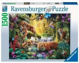 Puzzle 1500 elementów Spokojne tygrysy