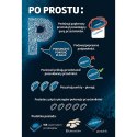 Gra Po prostu P