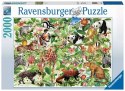 Puzzle 2000 elementów Dżungla