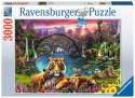 Puzzle 3000 elementów Dzika natura z kwiatami