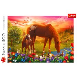 Puzzle 500 elementów Konie na łące