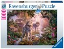 Puzzle 1000 elemetów Rodzina wilków latem