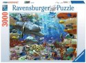 Puzzle 3000 elementów Podwodne życie